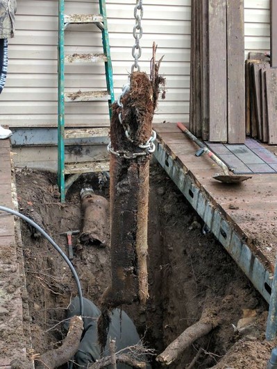 Pulling out root from ground